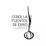 CEBOLLA FUENTES DE EBRO